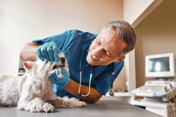 Best Urgent Care for Lost Fillings or Crowns in Thedral City, CA